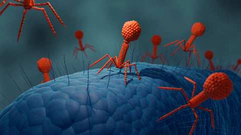 Bacteriophages attcking bacteria, Phage therapy 3d illustration