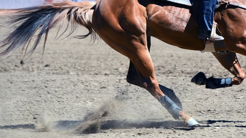 Horse running around in a rodeo ring