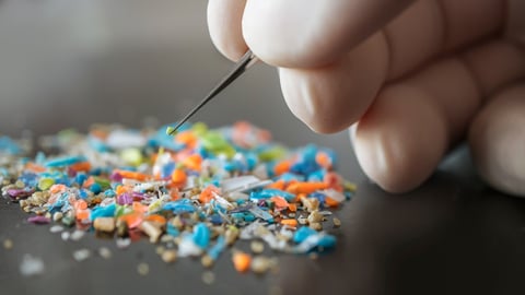 Macro shot of a person with medical gloves and tweezers inspecting a pile of microplastics. 