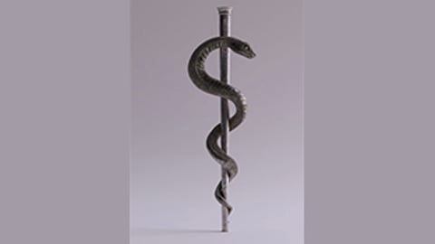 The Rod of Asclepius