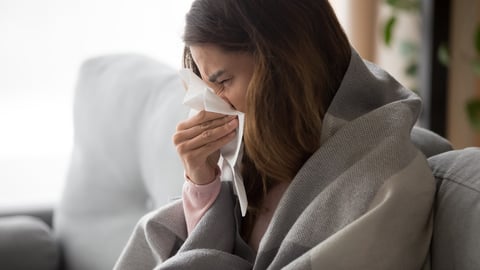 Ill upset young woman sitting on sofa covered with blanket freezing blowing running nose got fever caught cold sneezing in tissue, sick girl having influenza symptoms coughing at home, flu concept; Shutterstock ID 1523330795