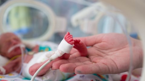 neonatal infant pulse oximeter for premature babies; Shutterstock ID 486542008