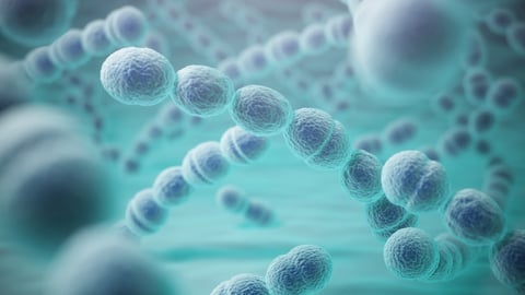 Streptococcus pneumoniae or pneumococcus bacterias. 3d illustration; Shutterstock ID 572028538