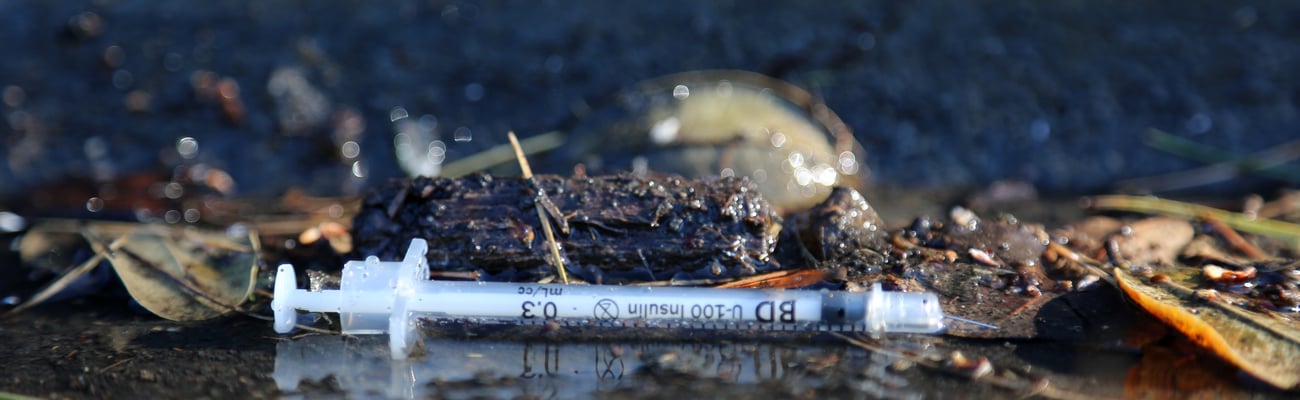 Drug syringe lying on the leafy street