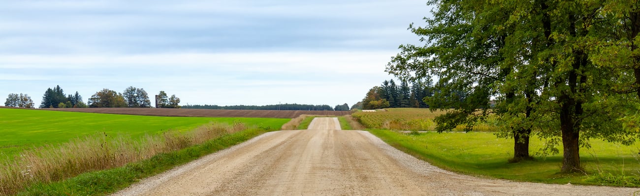 View down the a rural dirt road