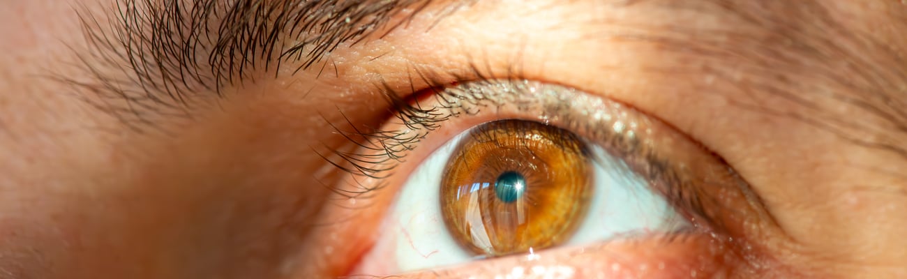 Close up of a brown eye 