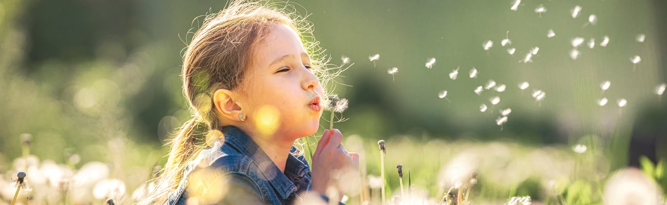 Little girl with long hair blowing dandelions in a meadow