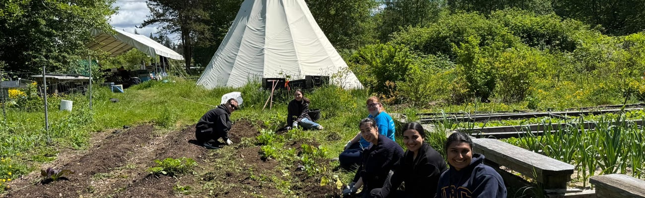 UBC PharmD students working the land in a local Indigenous garden