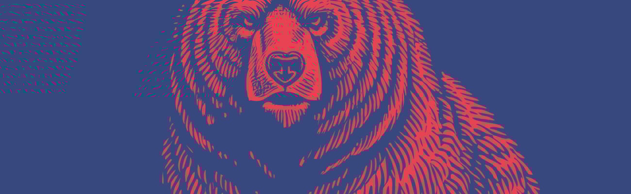 Bear!