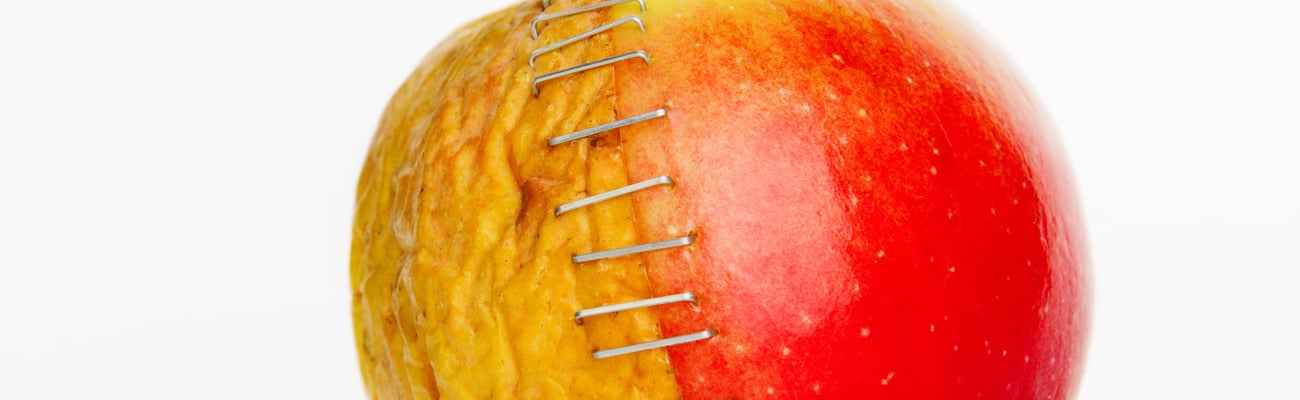 Half a bad apple stapled to a ripe apple