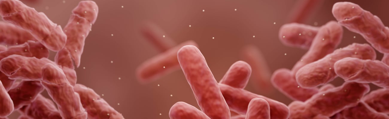 A 3D illustration of bacteria gaining drug resistance.