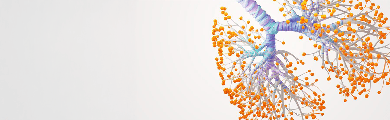 Illustration of lungs