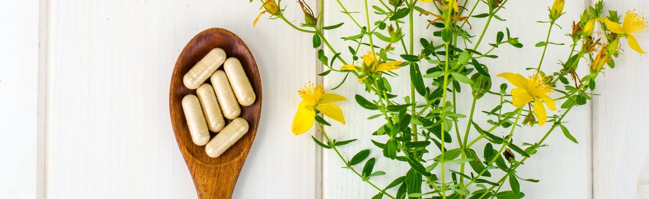 St. John's wort plant alongside spoon with capsules