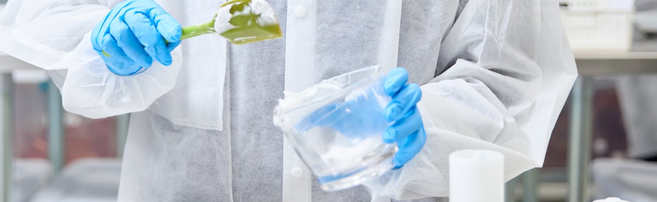 The hands of a pharmacist working in compounding medications