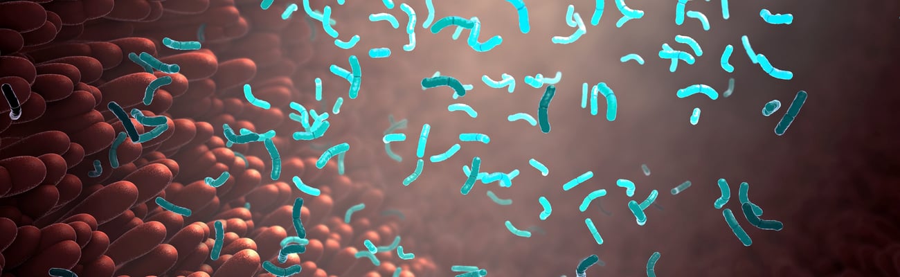 illustration of gut microbiome in different colours