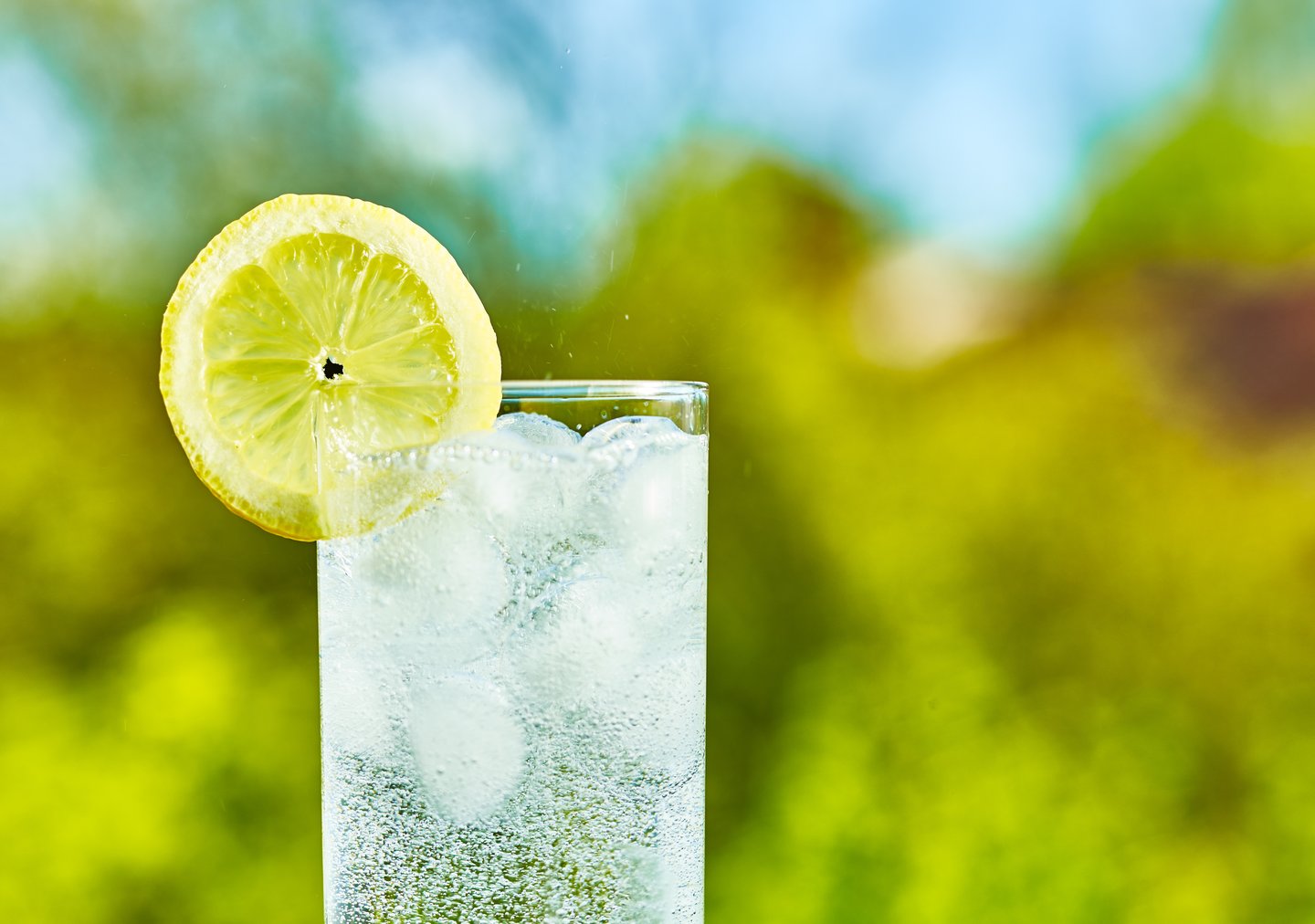 clear tall glass with sparkling water in it, lemon slice, fresh leafy green blurred background