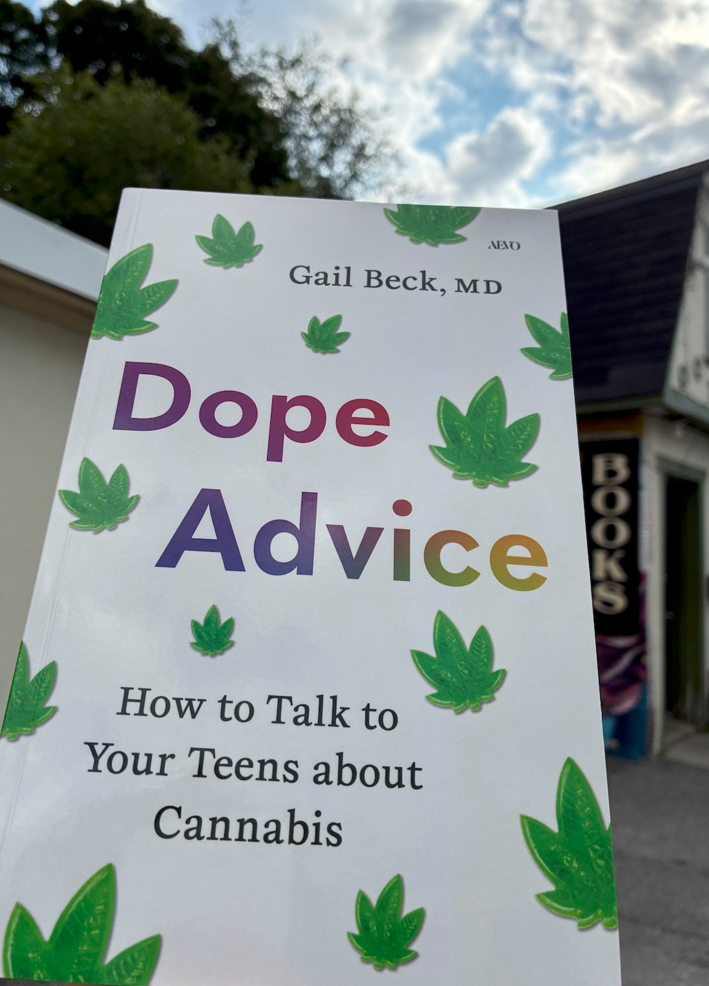 a copy of the paperback book Dope Advice is held up against a cloudy sky with a cute book store in the background